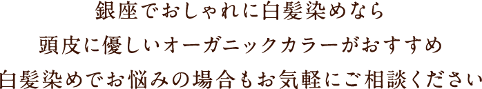 銀座でおしゃれに白髪染めなら 頭皮に優しいオーガニックカラーがおすすめ 白髪染めでお悩みの場合もお気軽にご相談ください